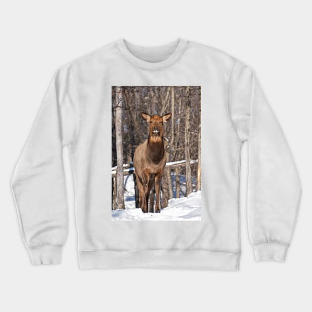 Elk Crewneck Sweatshirt by jaydee1400